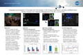 Click to download the AOL ASP TIM Poster PDF